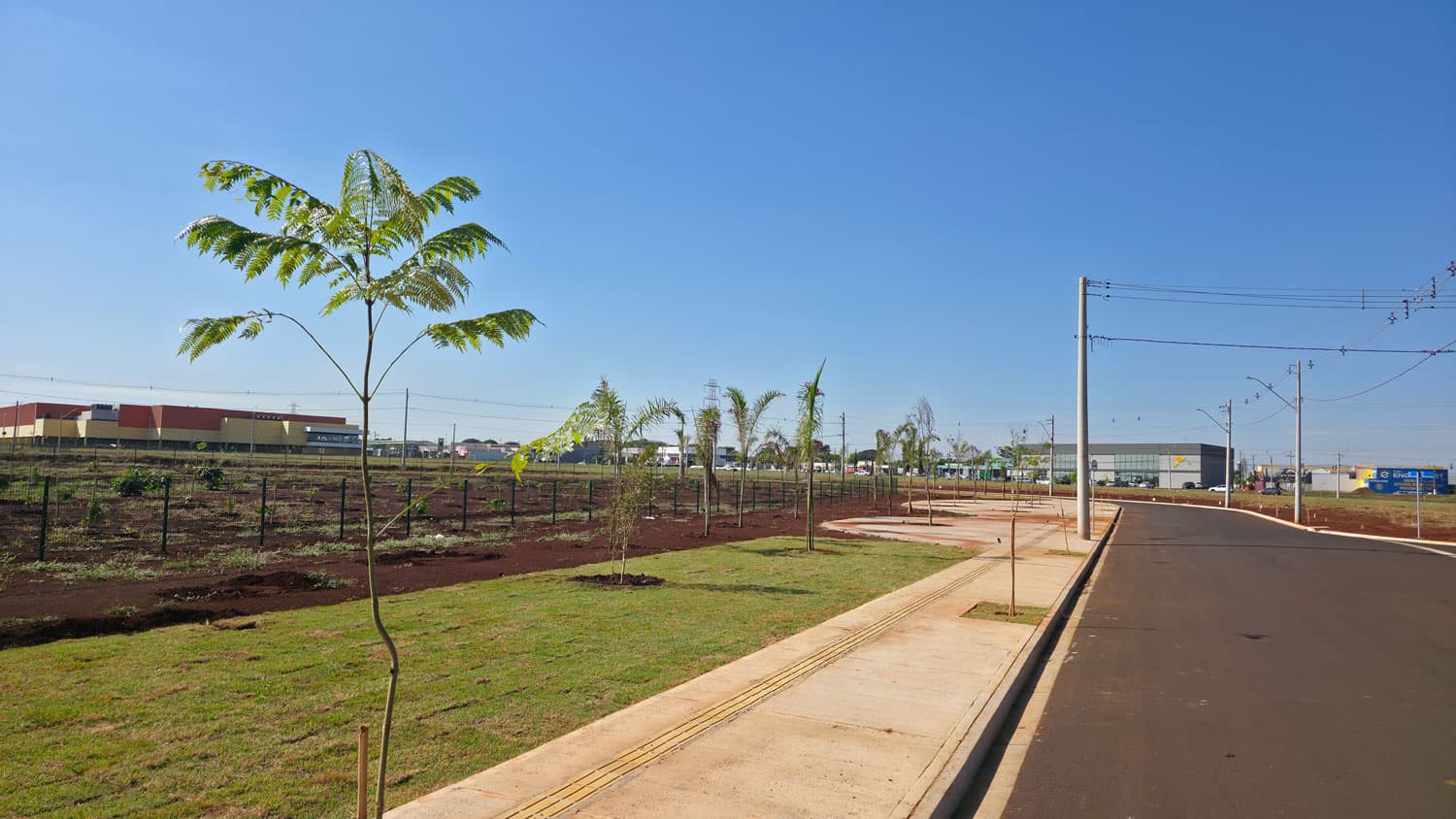 Calçada com piso tátil, mudas de árvores e gramado no Bella Verona Boulevard - Maio de 2026